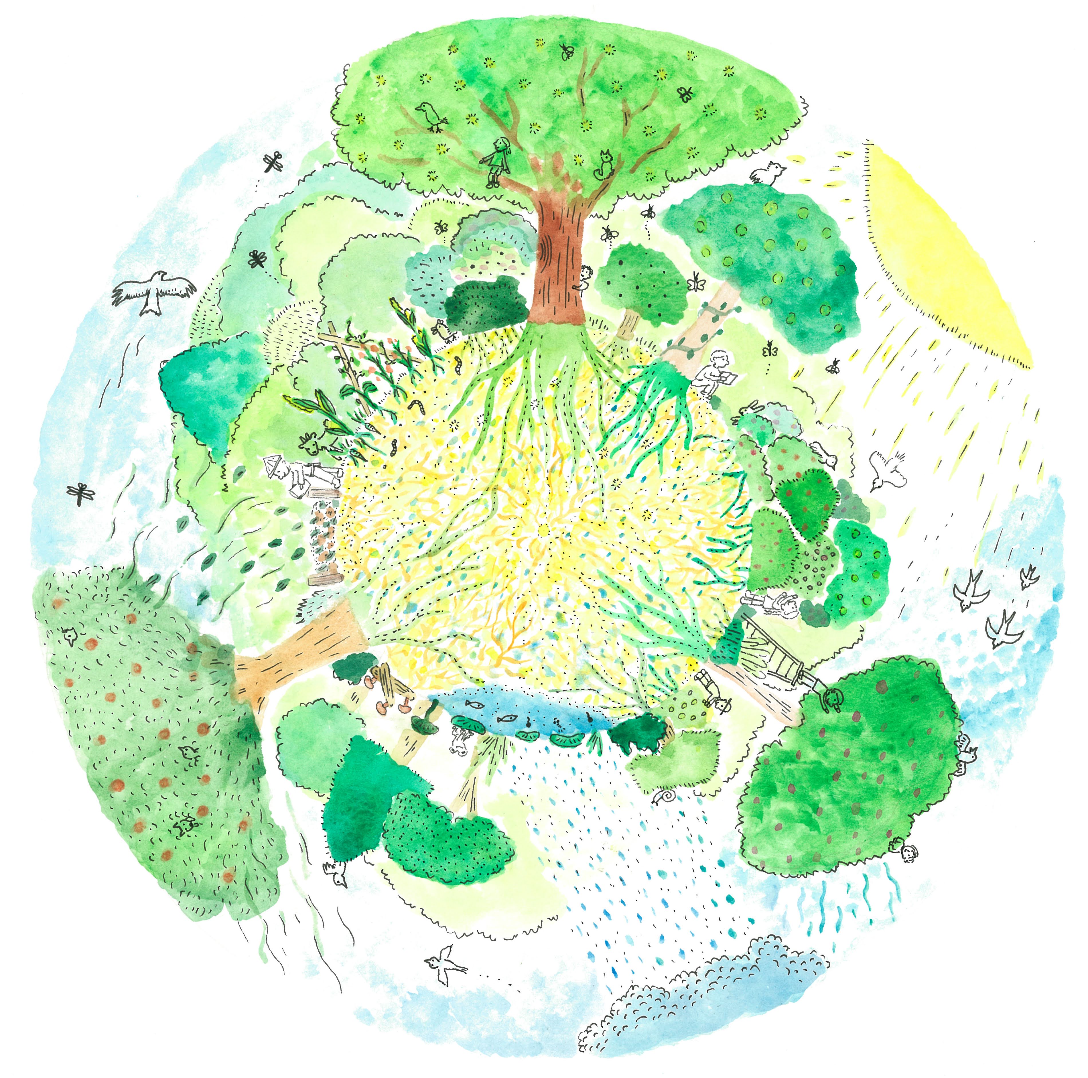 森と気候ケアイラスト
