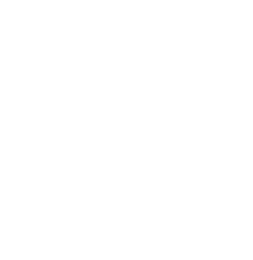 鳥のイラスト
